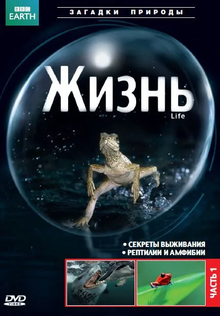 BBC: Жизнь (сериал 2009)