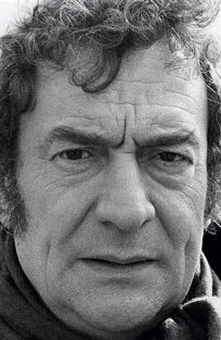 Жюльен Гиомар